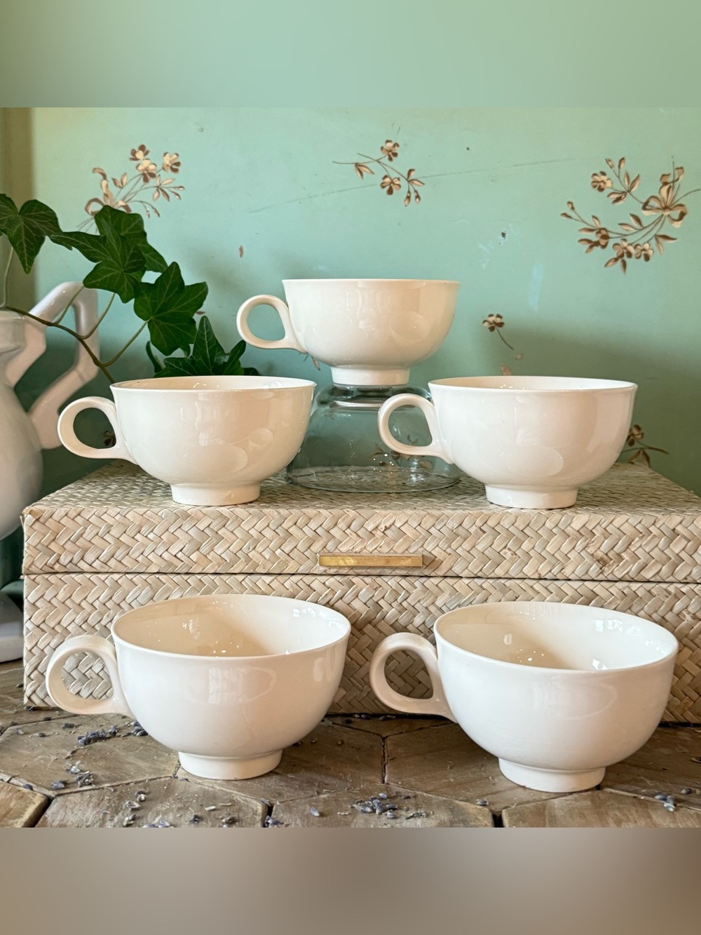Vintage Timeless Bone China Teacups, SET/5, Cream, Made in England